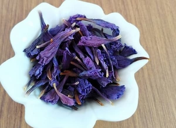 تصویر 5 از قیمت گل گاو زبان اصل + خرید باور نکردنی